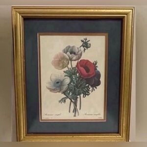 Professionally Framed Vintage Floral Print  "Anemone Simplex " by P.J. Redoute